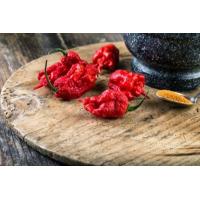 ราคา 20 เมล็ด เมล็ดพริก สายพันธุ์ CAROLINA REAPER พริกเผ็ดที่สุดในโลก ของแท้ 100 อัตรางอก 70 80 Strawberry seeds มีคู่มือปลูก (9079439706)