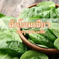 ราคา เมล็ดผักโขมเขียว ผักโขมขาว ใบเขียว 8000 เมล็ด พันธุ์ลูกผสม โตเร็ว ต้านทานโรค รสชาติดี ผลผลิตสูง (7835922971)