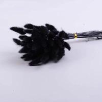 ราคา หญ้าแพมปาสธรรมชาติ30 60ชิ้นดอกไม้แห้งหางกระต่ายช่อดอกไม้หญ้าหางกระต่ายดอกไม้ดอกไม้แห้งตกแต่งบ้านแต่งงานอุปกรณ์ประกอบฉากถ่ายรูป (18694338768)