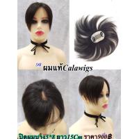 ราคา ผมแท้ทอมือ ผมแท้ปิดผมบาง ผมแท้ปิดผมหงอก ผมแท้ ปิดผมบาง 5x8 ยาว 15cm ผมแท้ 100 (382138064)