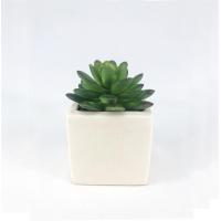 ราคา กุหลาบหินปลอม ไม่รวมกระถาง (14541161999)