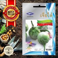 ราคา เมล็ดพันธุ์ มะเขือเจ้าพระยา 1กรัม (19262158129)