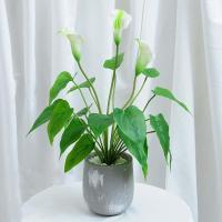 ราคา ต้นมอนสเตร่าปลอม ต้นไม้ปลอม ต้นไม้ตกแต่ง ต้นไม้ประดับ (10095564827)