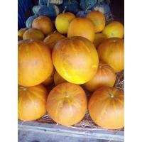 ราคา เมล็ดพันธุ์ แตงไท แตงไทย แตงไทยผลกลม 30 320 เมล็ด 10 แถม 1 คละได้ (10731146915)