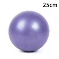 ราคา ลูกบอลโยคะ 75 25CM มินิบอล การเคลื่อนไหว ยิมบอล พิลาทิส โยคะบอล ที่ปั้มลม ลูกบอลฟิตเนส Yoga ball (17134896567)