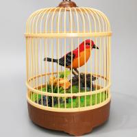 ราคา TAOTOY นกร้องเพลง ของเล่นเด็ก นกของเล่น นกในกรง นกอัดเสียง มีให้ลือกหลายแบบ คละสี 507AY (5861088794)