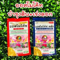 ราคา ออสโมโค้ท Osmocote ปุ๋ยบำรุงต้น ปุ๋ยเร่งดอก ปุ๋ยออสโมโค้ท สูตร 13 13 13 สูตร 12 25 6 ปุ๋ยแคคตัส ขนาดซอง 100 กรัม homes (4029912992)