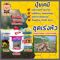 ราคา ชุดปุ๋ยเร่งหัว ใน 1 ชุดมี ปุ๋ยมันส์โอเคสูตรเร่งหัว ปุ๋ยวาย วี พี 13 5 42 สสารจับใบแพนเธอร์ ปุ๋ยเร่งแตกยอด ปุ๋ยมันสำปะหลัง ใบเขียวสด (16114416255)