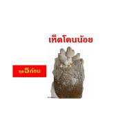 ราคา เห็ดโคนน้อย ชุด 5 ก้อน ราคา 60 บาท มีคู่มือการดูแล มีสต๊อคพร้อมส่ง (9860103784)
