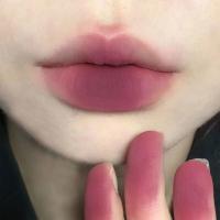 ราคา DragonRanee ลิปแมทกำมะหยี่โคลนกันน้ำ Colorfast Lipstik Tahan Lama (19413710115)