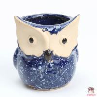 ราคา กระถางดินเผานกฮูกแฟนซี กระถางต้นไม้ ไม้อวบน้ำ กุหลาบหิน cactus succulentหลากหลายสายพันธุ์ (10090487693)