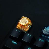 ราคา 1 Piece Ice Rose Polar Bear Steampunk Gear Pond Fish Koi Stars Artisan Resin Keycaps ESC Mechanical Backlit Keyboard RGB Keycap (20334821203)
