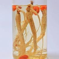 ราคา โสมแห้งโสมภูเขาโสมป่าภูเขาโสมโสมอบแดดโสมขาวตะวันออกเฉียงเหนือ (20484406121)