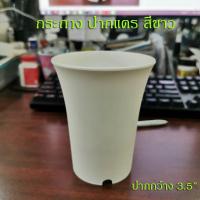 ราคา กระถางปากแตร ทรงสูง 3 นิ้ว 3 5 นิ้ว 4 นิ้ว (15215776564)
