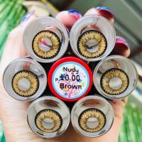 ราคา คอนแทคเลนส์ รุ่น Nudy สีเทา ตาล Gray Brown มีค่าสายตา 0 00 10 00 (15443420843)