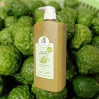 ราคา แชมพูมะกรูด ออแกนิค Organic Kaffir Lime Shampoo (18335341919)