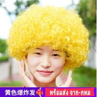 ราคา L L วิกปลอม วิกแอฟโฟร่ วิก แอฟโฟร่ หัวฟู ผมฟู เจ้าเงาะ เงาะป่า วิกเงาะ วิกผมหยิก วิกคอสเพลย์ คอสเพล ผมปลอม ผม (15141408578)