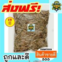 ราคา เมล็ดทานตะวัน อบวอลนัท พร้อมทาน เต็มเมล็ดใหญ่ เกรด AAA ผลิตใหม่ตลอด 1 กิโลกรัม ไม่เหม็นหืนการันตรีความอร่อย อาหารเจ เจ ถั่วตราเต่า (7895615902)