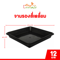 ราคา กระถาง จานรอง กระถางต้นไม้ กระถางสี่เหลี่ยม จานรองสี่เหลี่ยม เบอร์ 6 6 5 7 นิ้ว สีดำ สีขาว สีเทา (20844570044)
