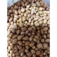 ราคา ถั่วลิสงดิบน้ำหนัก300กรัม (20123517712)