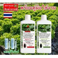 ราคา ปุ๋ย ไฮโดรโปนิกส์ปุ๋ย AB ปุ๋ยน้ำ AB ขนาด 1 ลิตร 2แกลลอน A B สูตรเข้มข้น ปุ๋ยไฮโดรโปนิกส์ ปุ๋ย AB สูตรเข้มข้น (18350629051)