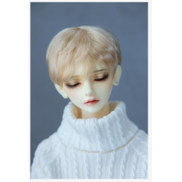ราคา BJD doll 13 14 16 MSD DD super soft silk hair boy 5 color optional doll accessory doll wigs (10222780685)