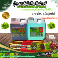 ราคา ปุ๋ยไฮโดรโปนิกส์ ปุ๋ยAB ปุ๋ยผักไฮโดรโปนิกส์ A1ลิตร ฺB1ลิตร ปุ๋ยผักสลัด สำหรับปลูกผัก Hydroponics ขนาด1000ML New สูตรเข้มข้น (12732449574)