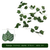 ราคา เถาวัลย์ปลอม ไม้เลื่อยปลอม ไม้เลื้อย ใบองุ่น ใบพลูด่าง ใบไม้ประดิษฐ์ ใบไม้ปลอม Leaf string ตกแต่งบ้าน ตกแต่งสวน Narmall (20269846959)
