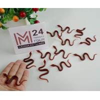 ราคา 1 ถุง 12 ตัว สัตว์ปลอม สัตว์เลื่อยคลาน เสมือนจริง จำลอง สัตว์ ปลอม ยาง งู ตะขาบ แมงป่อง แมลงสาบ ของปลอม ของเล่น ตัวตลก ของเล่นแกล้งคน m24 (824914099)