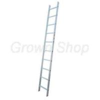 ราคา บันไดพาดอะลูมิเนียม Aluminum Ladder (726044961)