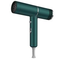 ราคา Xiaomi YouPin Anion hair dryer Electric Mute Household Large Wind Hair Dryer (21261913231)