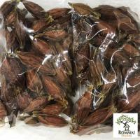 ราคา ลูกเก๊กฮวย เม็ดเก๊กฮวย ลูกพุด ลูกพุดจีน เม็ดพุดจีน มีหลายปริมาณให้เลือก ส่งฟรี (13749042075)