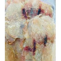 ราคา ปลาริวกิวหวานแท้เกรดพรีเมี่ยม 500 กรัม หวาน อร่อย (21135618648)