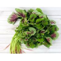 ราคา ผักโขมใบกระ ผักโขมใจแดง ผักโขมเขียวใจแดง ตัวเลือกสูงสุด 10000 เมล็ด 10 แถม 1 คละได้ (13154550527)