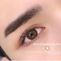 ราคา คอนแทคเลนส์ Dream Color1 Mini Nobluk GrayBrown ค่าสายตา 0 00 ถึง 10 00 (7121870518)