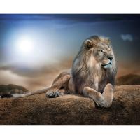 ราคา ภาพศิลปะภาพพิมพ์ติดผนังรูปสิงโตภาพสีน้ำมันตกแต่งห้องชุดโปสเตอร์รูปสัตว์โลกสำหรับห้องนั่งเล่นห้องนอนกรอบรูปพระอาทิตย์ตก (17186612854)