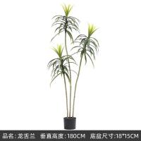 ราคา ต้นมังกร Dragon Tree ต้นไม้ปลอมแต่งบ้าน แต่งคาเฟ่ ต้นไม้มงคล พร้อมส่งในไทย Plant L DG (20581914446)
