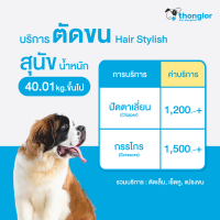 ราคา E Voucher Thonglor Pet Care Hair Cut For Dogs ทองหล่อเพ็ทแคร์ บริการตัดขน สำหรับสุนัข (15930924906)