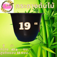 ราคา อ่างบัวทรงสูงขนาด 19 นิ้ว ไม่มีรู จำนวน 10 ใบ (14938839306)