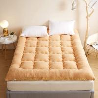 ราคา ที่นอนท็อปเปอร์ 5 ฟุต ที่นอนท็อปเปอร์ ท็อปเปอร์ หนาๆ ที่นอนท๊อป 6 ฟุต ที่นอนท็อปเปอร์ 6 ฟุตที่นอนนุ่มๆ ท็อปเปอร์3 5 ฟุต ที่นอนพกพา (17493453533)