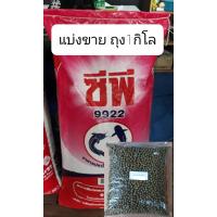 ราคา อาหารปลาดุกCP 9922 โปรตีน25 เม็ด6mm ถุง1กิโล (8199034224)