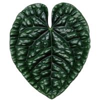 ราคา Socket Folding Grip Tok Pretty Leaf Acrylic Phone Holder For iPhone13 Universal Smartphone Griptok Bracket Finger Stand (14481403378)