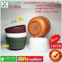 ราคา กระถางแคคตัส C4 ขนาด 3 9 นิ้ว คละสี 1 ชุด 5 ใบ ใช้เป็นกระถางเพาะเม็ดแคคตัส และไม้สะสมไม้หายาก (1812476323)