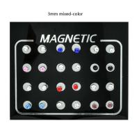 ราคา 3 4 5 6 7mm 24Pcs Set Magnetic Non Piercing Clip Round Rhinestone Stud Earrings Non Piercing Clip On Stud Earrings Round Ear Stud Jewelry Gifts 3 4 5 6 7mm Stainless Steel Magnetic Care Ear Stud Fake 