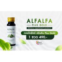 ราคา คลอโรฟิลล์น้ำ 100 อัลฟัลฟ่า พลัส Alfalfa Plus ของแท้ (21240499469)