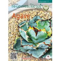 ราคา วารสารชมรมกระบองเพชรและไม้อวบน้ำ แคคตัส กระบองเพชร ไม้อวบน้ำ cactus succulent (17524846133)