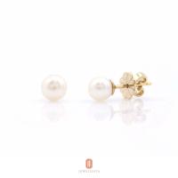 ราคา Jewellista ต่างหู Molly ไข่มุกน้ำจืดแท้ เงินแท้ 925 (13207789749)