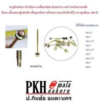 ราคา สกรู ยิงหลังคาหัวบล็อค6เหลี่ยม HSD ปลายสว่าน เบอร์ 10 ยิงคานเหล็กยึดกระเบื้องลอนคู่แปเหล็กเพื่อมุงหลังคา พร้อมแหวนยางกันซึม สีรุ้ง100ตัว (994202363)