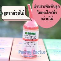ราคา Hyponex Cute ปุ๋ยน้ำ นำเข้าจากญี่ปุ่น พร้อมส่ง ปุ๋ยไม้ใบ ไม้ดอก แคคตัส กล้วยไม้ (20359648701)