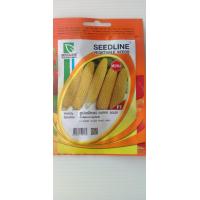 ราคา พันธ์ุข้าวโพด บรรจุ 50 เมล็ด ข้าวโพดหวาน ข้าวโพดสัตว์ เมล็ดข้าวโพด พันธุ์ข้าวโพด639 พันธุ์ข้าวโพด339 พันธุ์ข้าวโพดcp เมล็ดพันธุ์พืช 12 (11544006352)